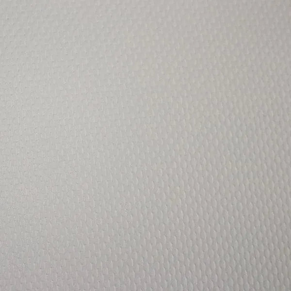 10'x10' Heavy Duty 10 oz Vinyl Tarp