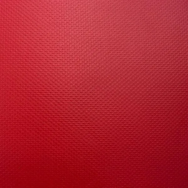 10'x10' Heavy Duty 10 oz Vinyl Tarp