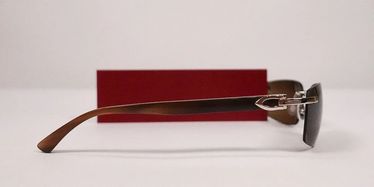 Cartier Buffalo Horn CT0046S 002 3EK