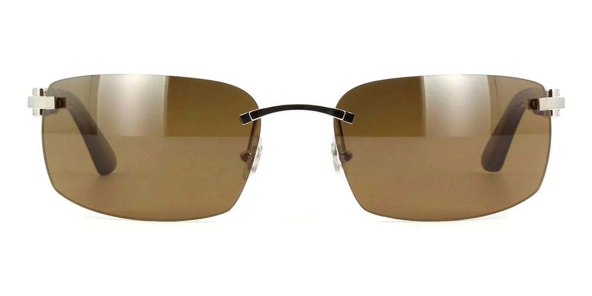 Cartier Buffalo Horn CT0046S 002 3EK