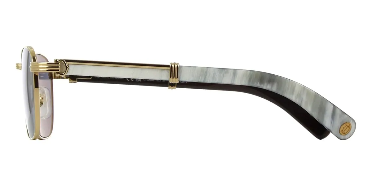 Cartier Buffalo Horn CT0363S 003 5FW