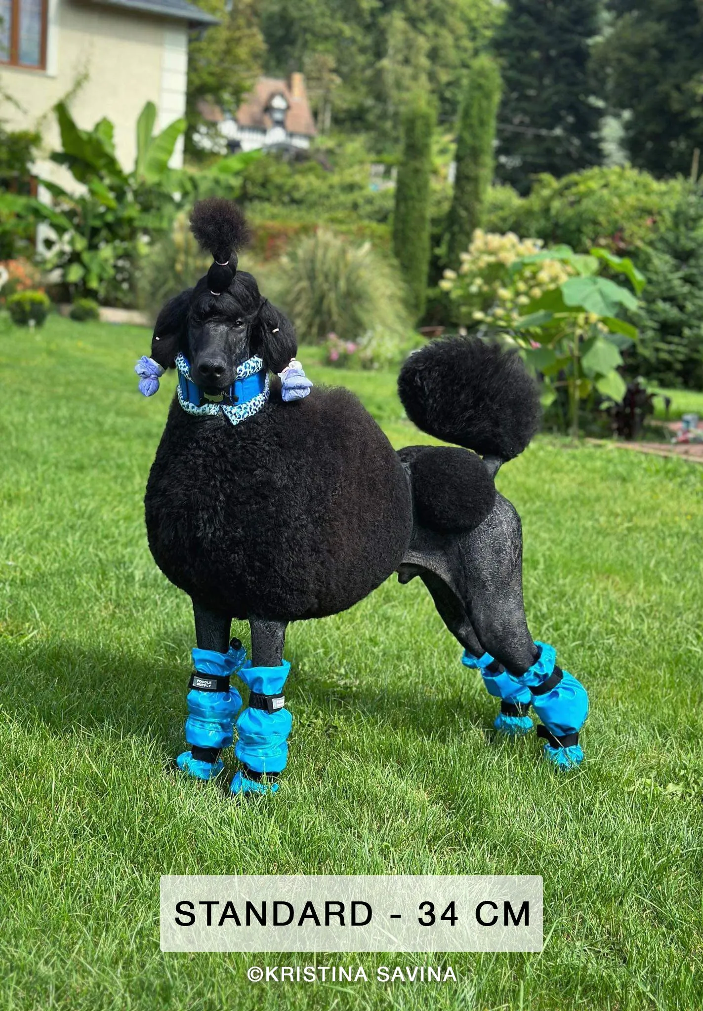 Collar   Leg Protectors Set: Standard Fluffy Chain Collar & Set of 4 Leg Protectors Red Zebra
